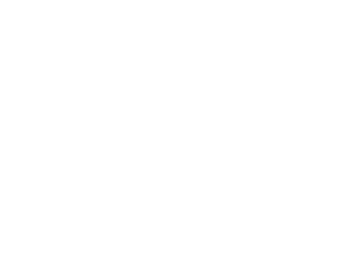 Spirit-of-the-caribbean logo